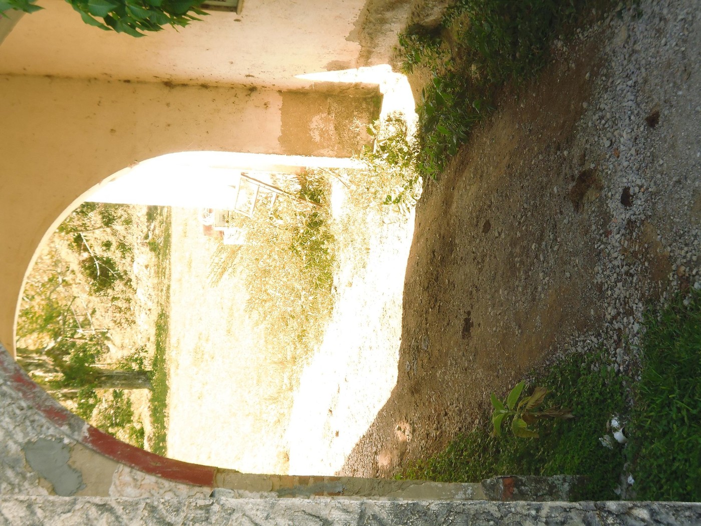P1010189.1.JPG