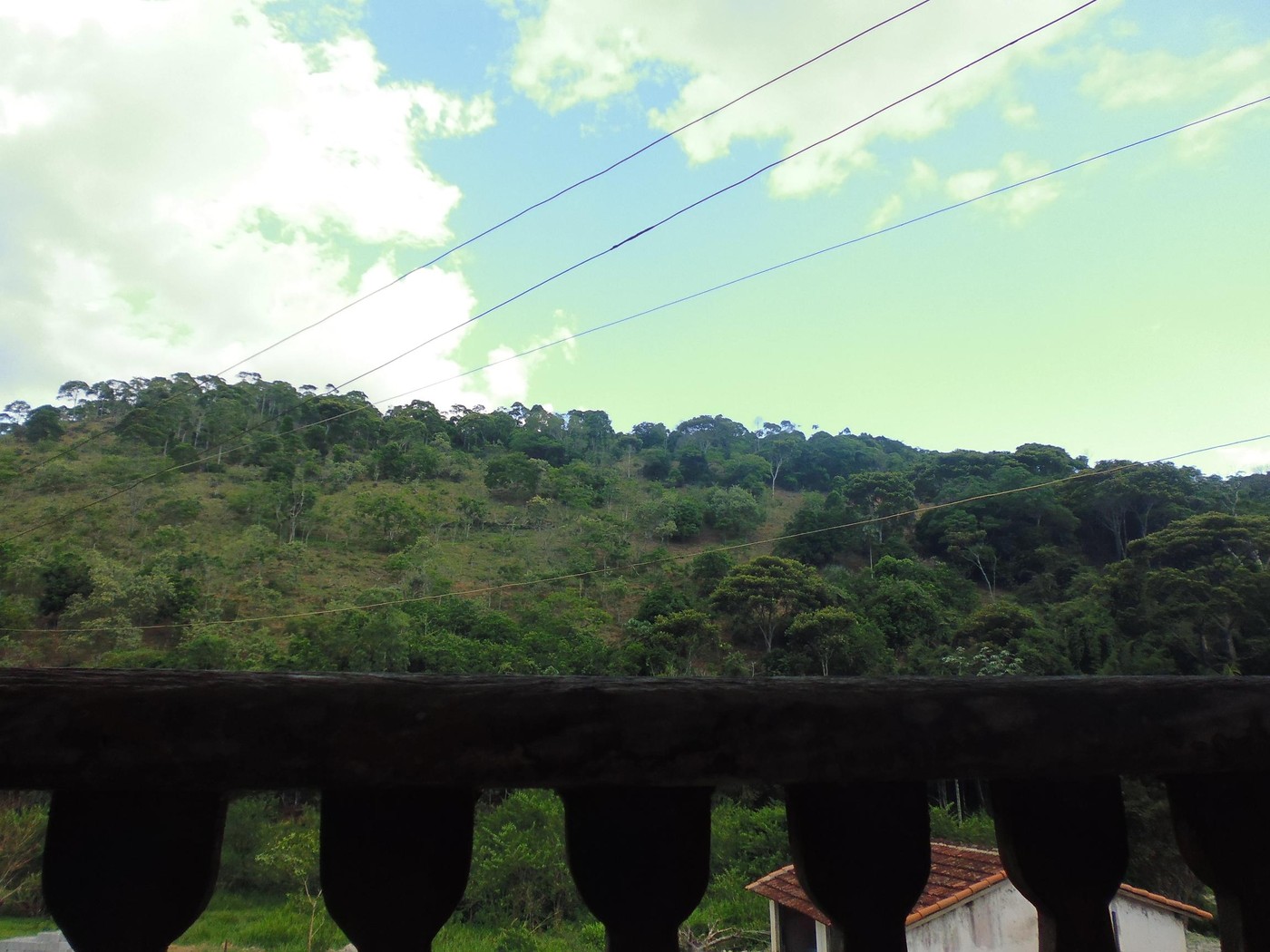 P1010198.1.JPG