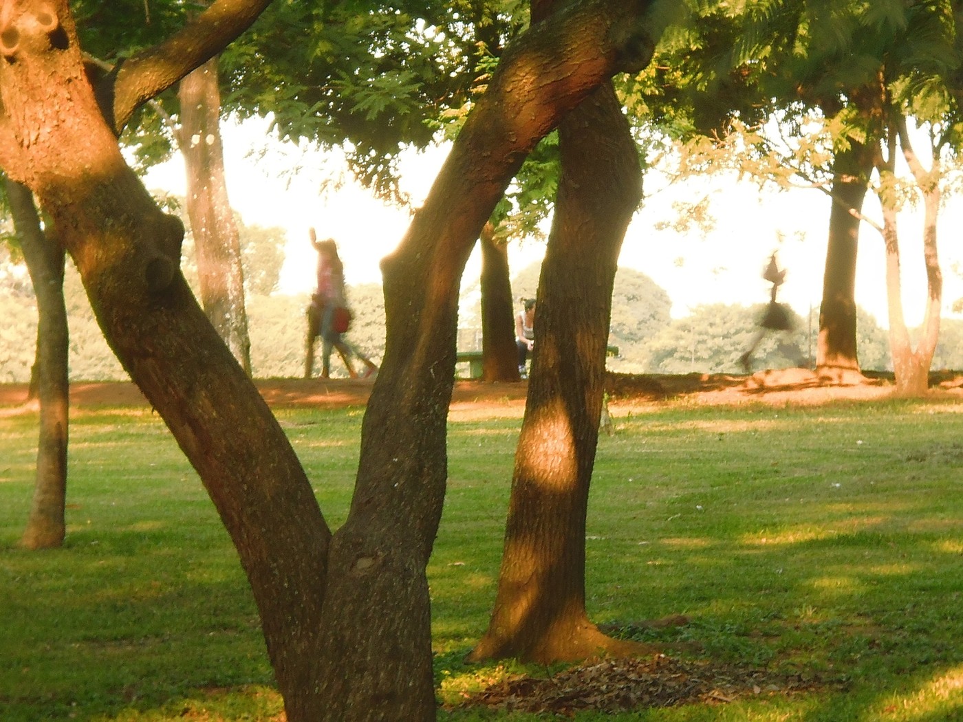 P1010258.1.jpg
