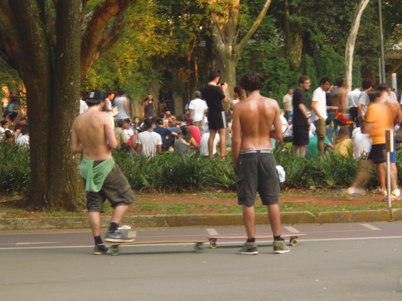 P1010281.1.jpg
