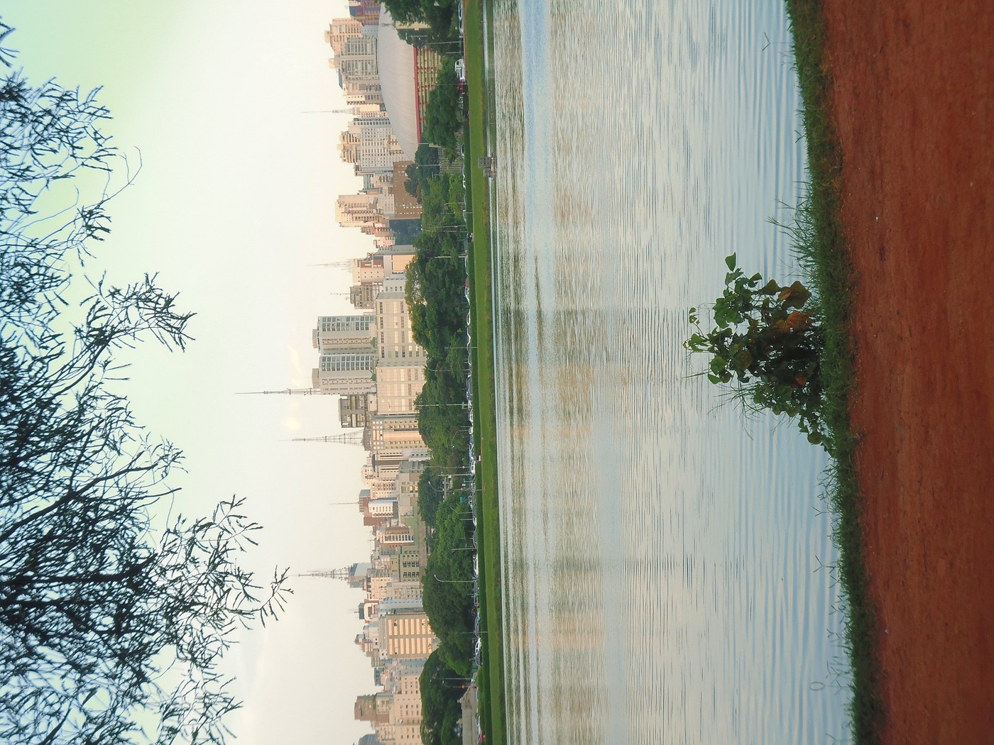 P1010301.1.jpg