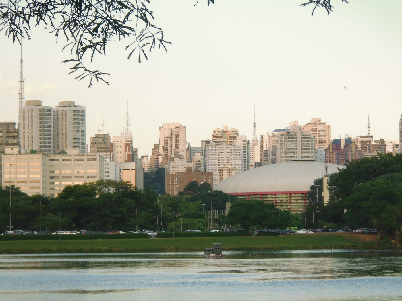 P1010303.1.jpg