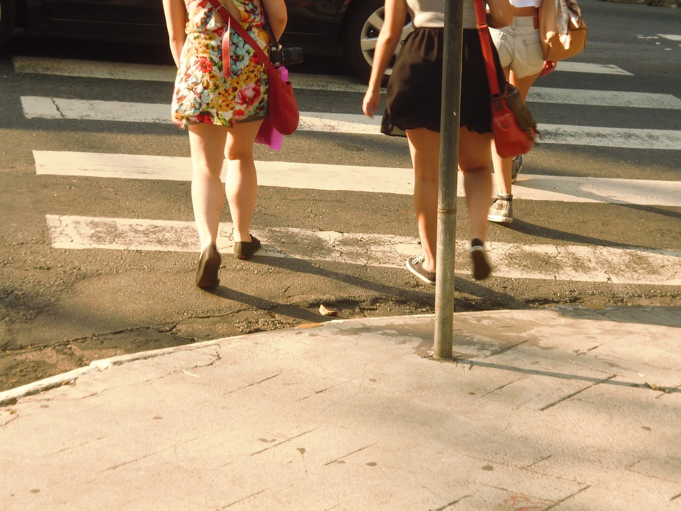P1010360.1.jpg