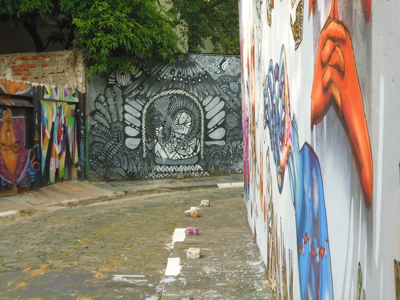P1010393.1.jpg
