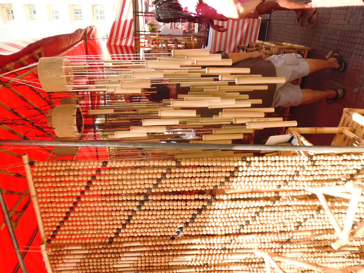P1010410.1.jpg