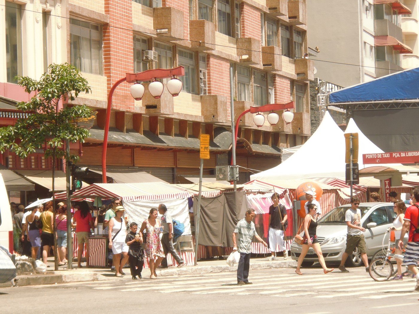 P1010412.1.jpg