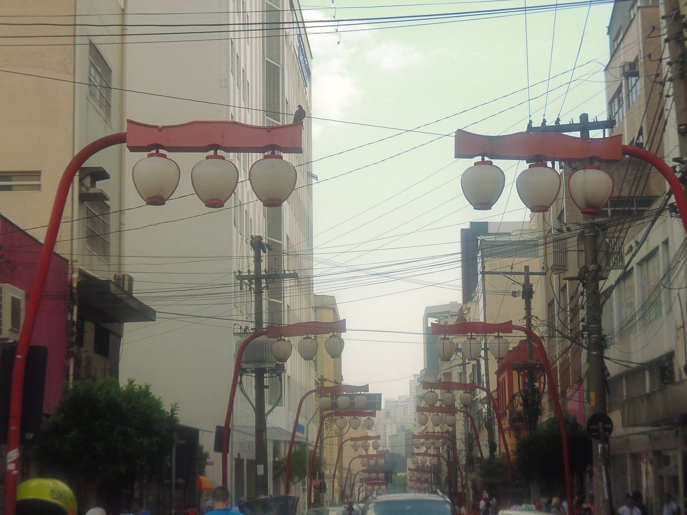 P1010450.1.jpg