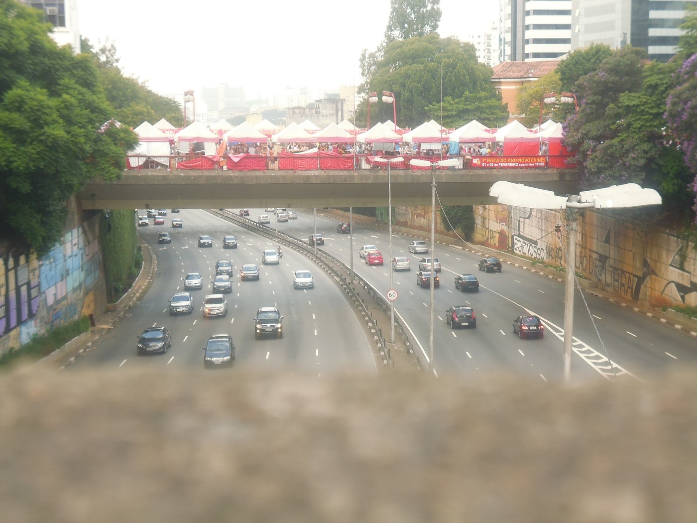 P1010456.1.jpg