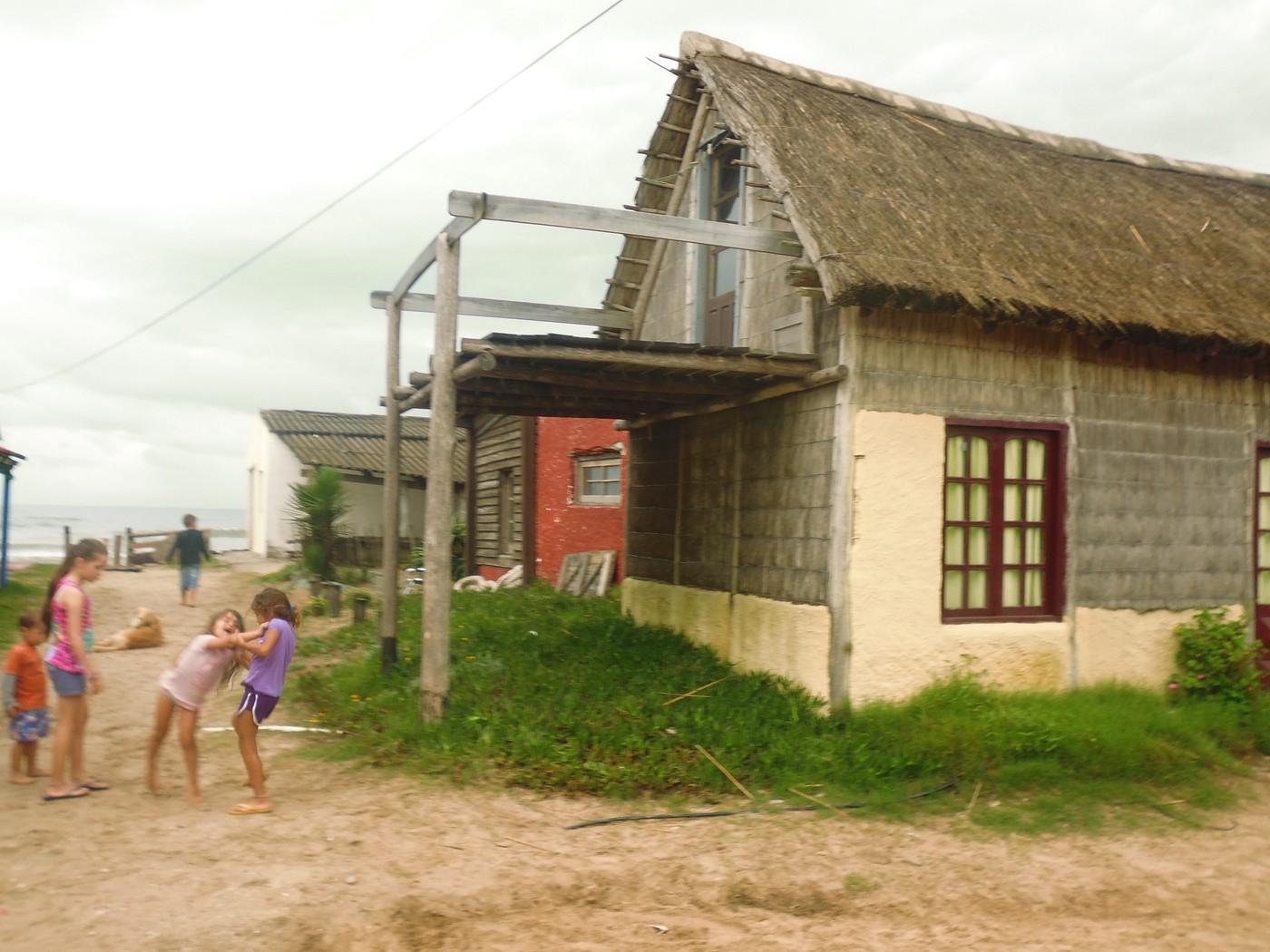 P1010550.1.jpg