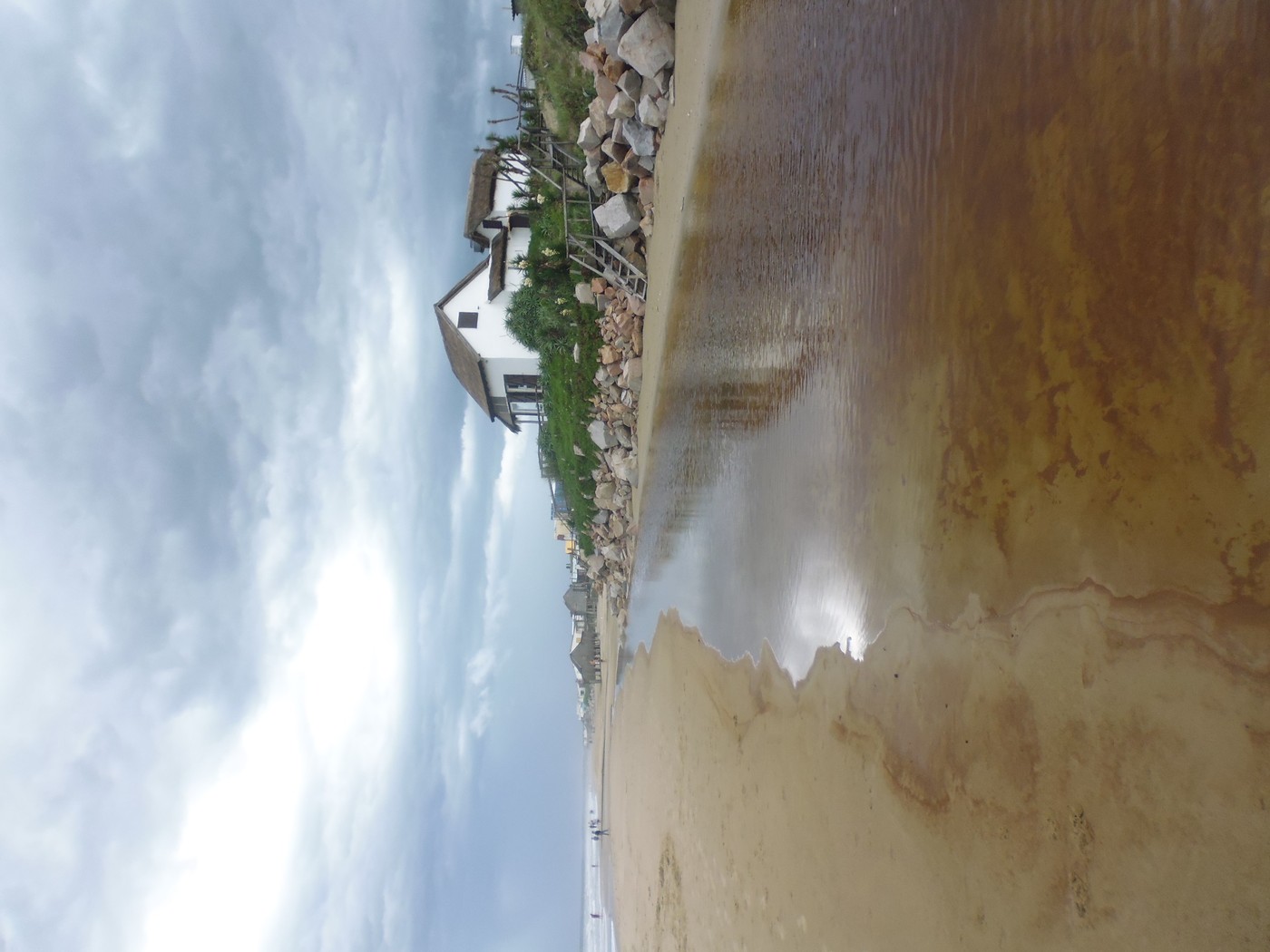 P1010574.1.jpg