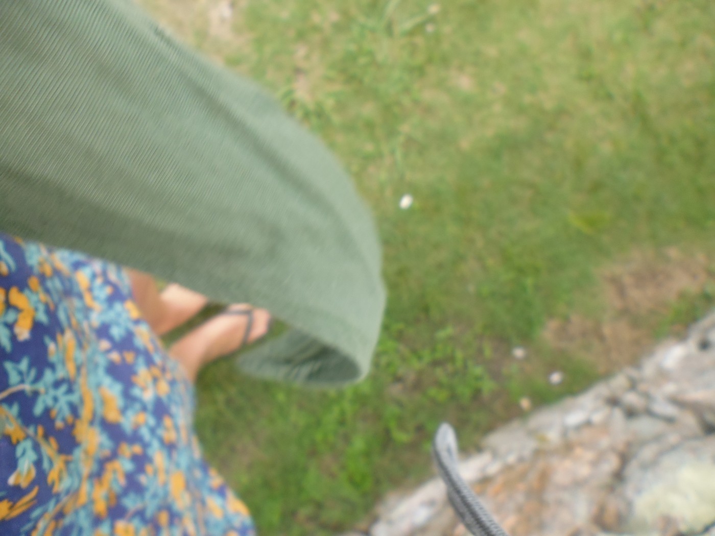 P1010599.1.jpg