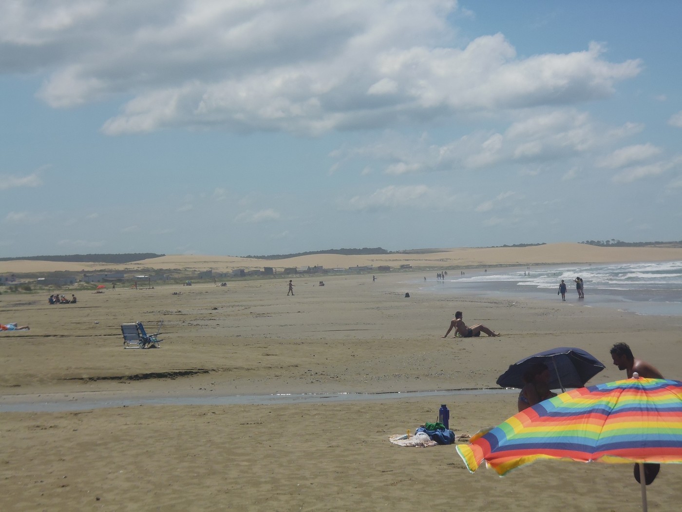 P1010619.1.jpg