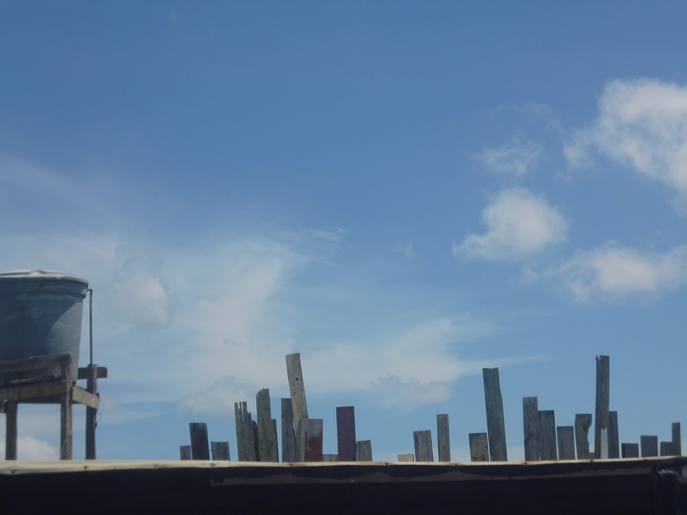 P1010621.1.jpg