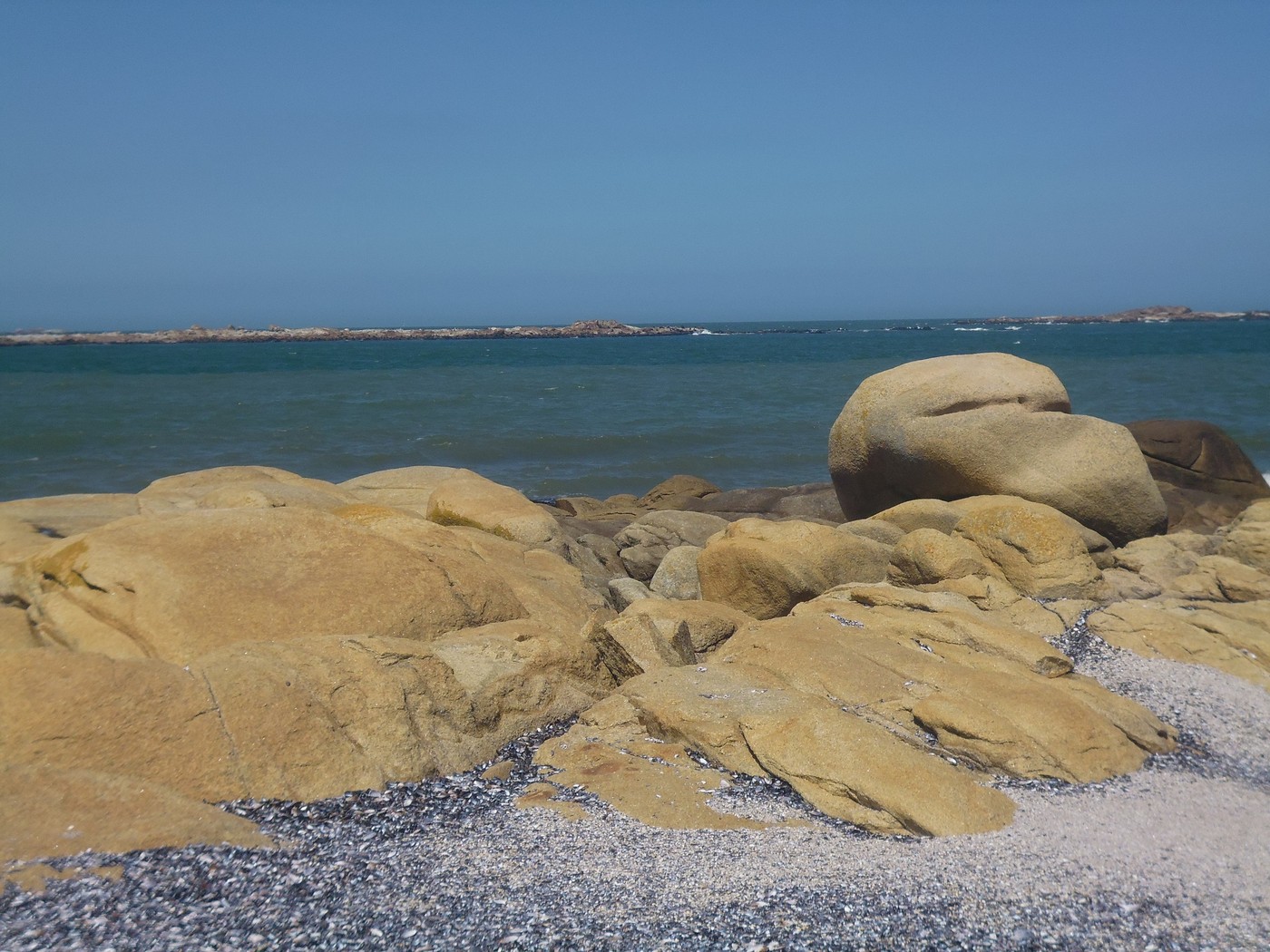 P1010641.1.jpg