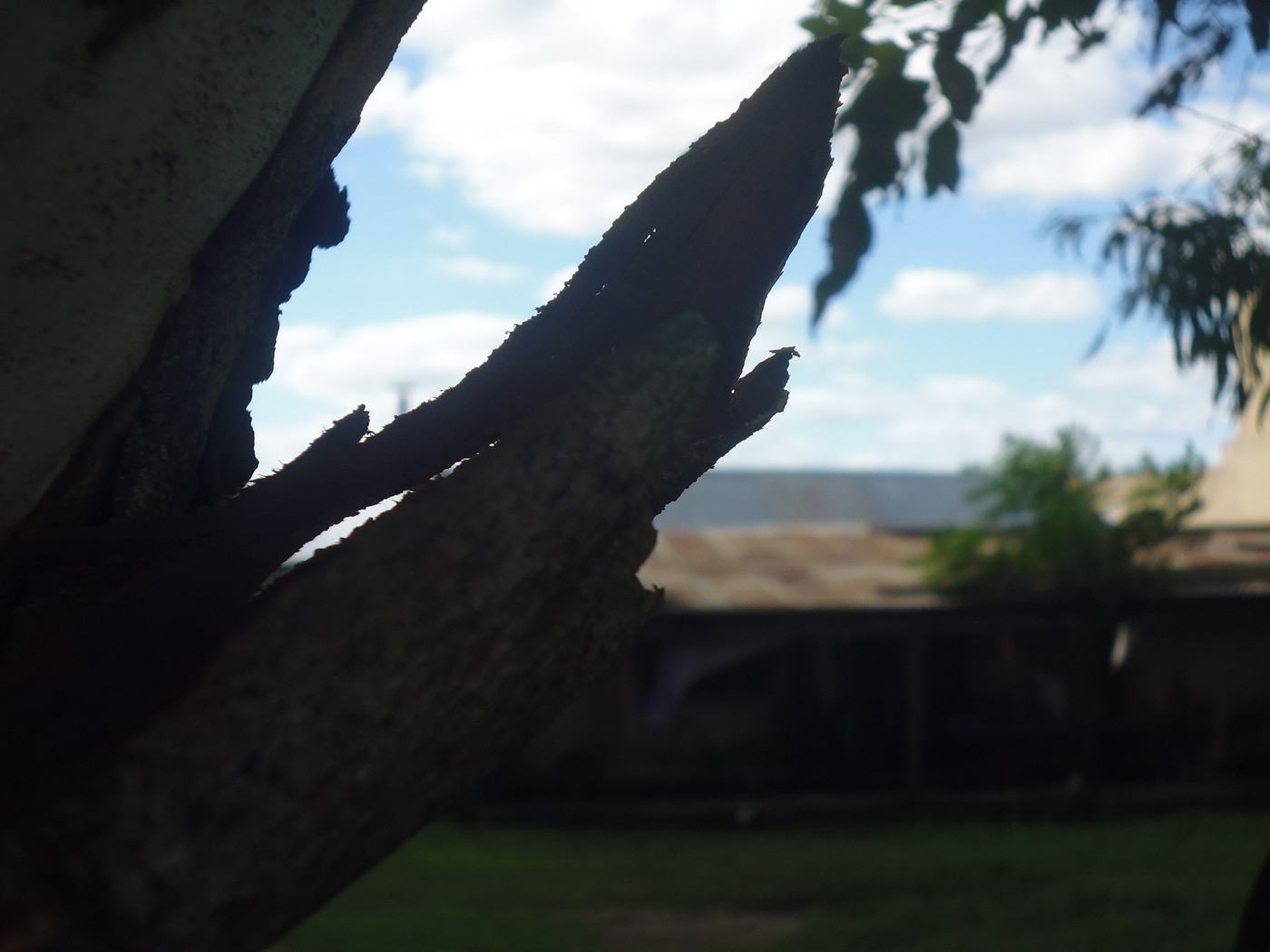P1010725.1.jpg
