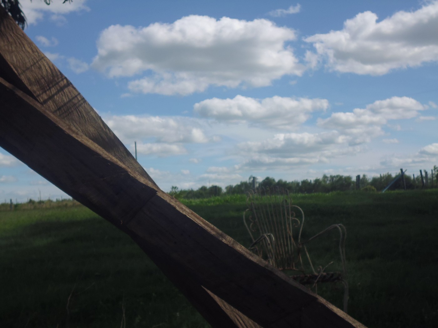 P1010740.1.jpg