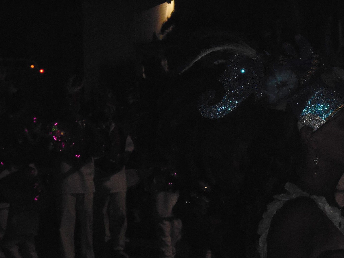 P1010750.1.jpg