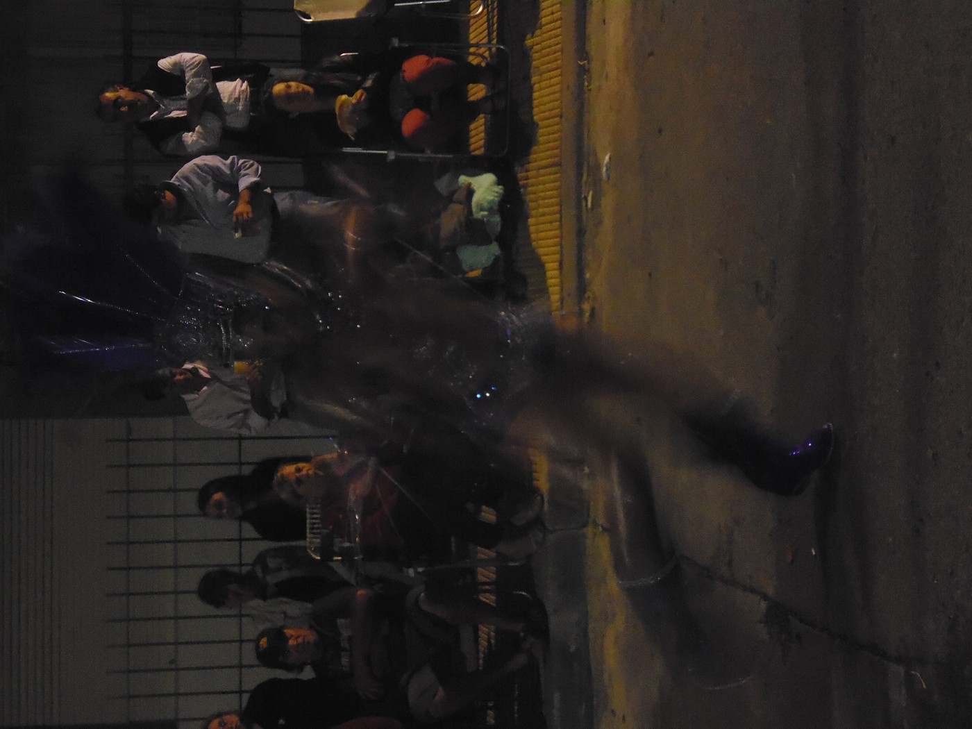 P1010767.1.jpg
