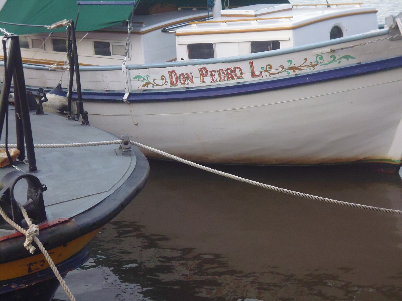 P1010796.1.jpg