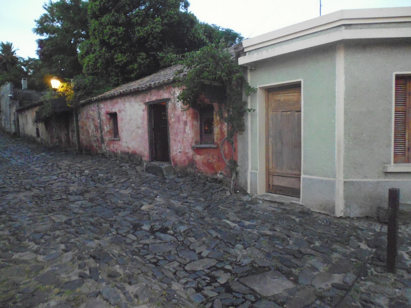 P1010821.1.jpg
