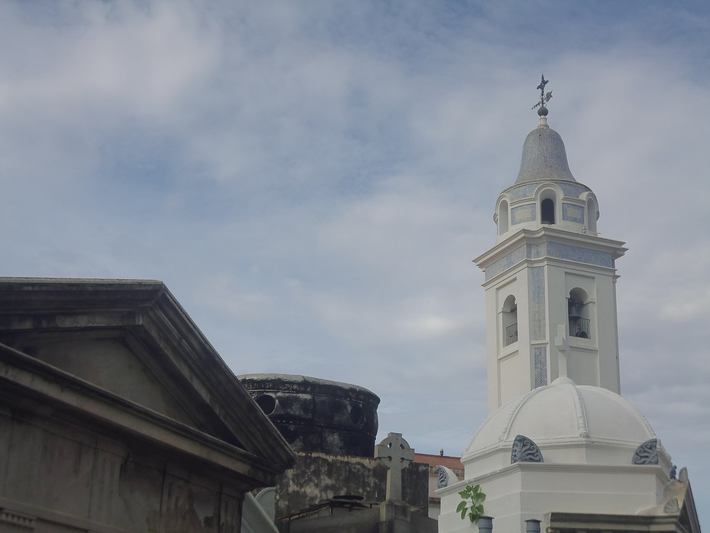 P1010845.jpg