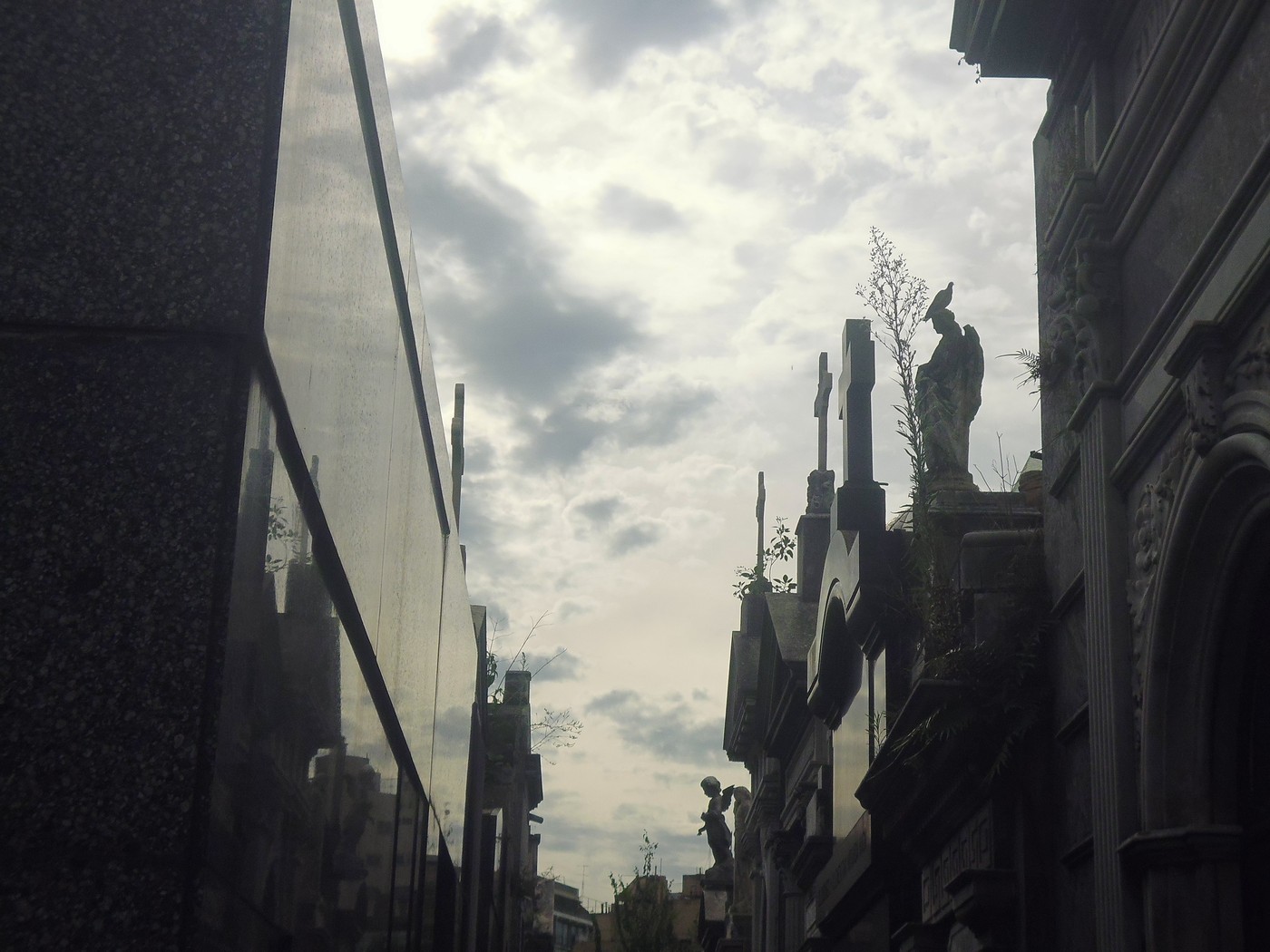 P1010847.jpg