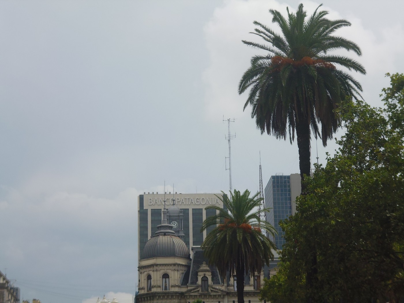 P1010913.jpg