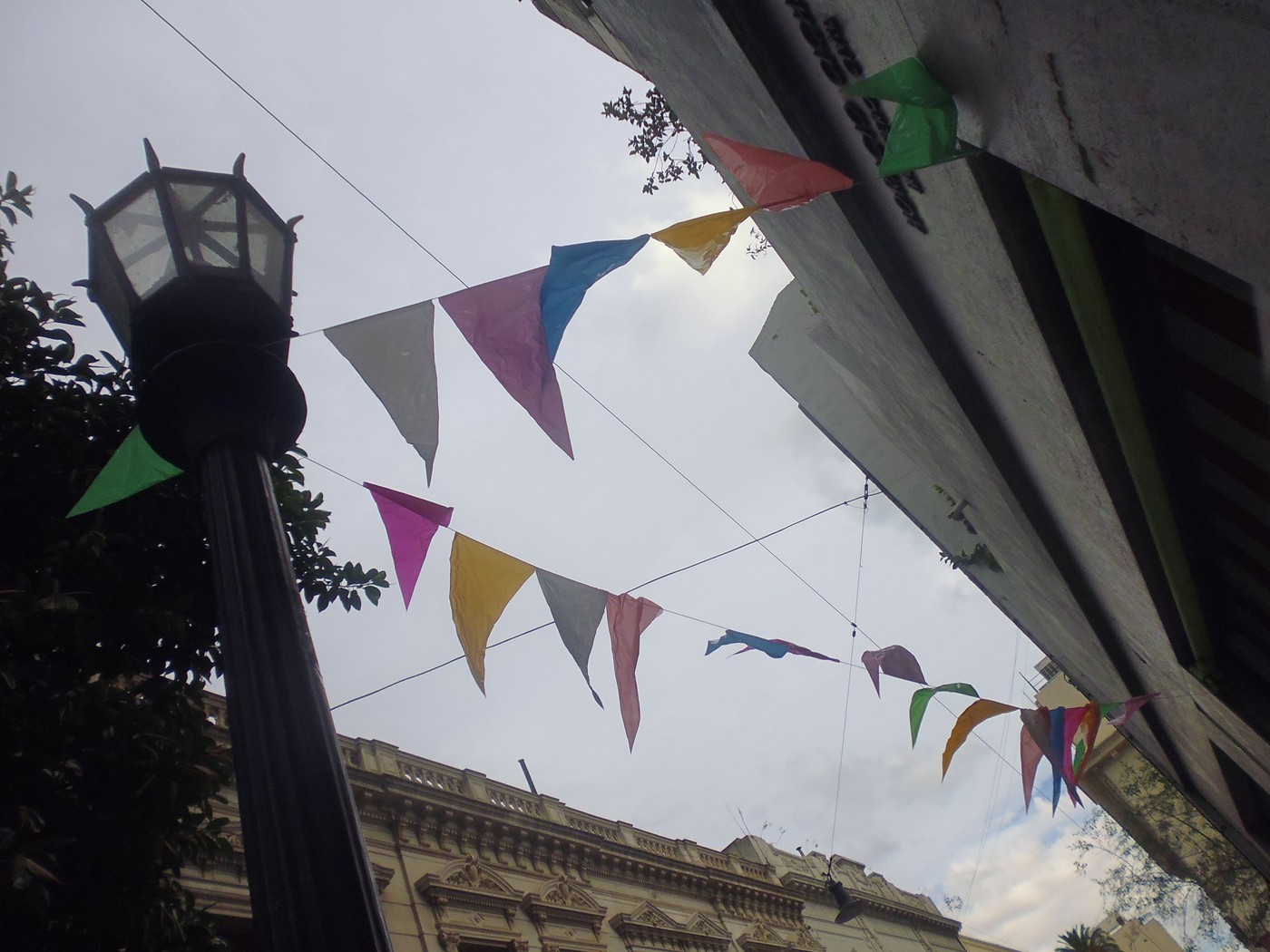 P1020002.jpg