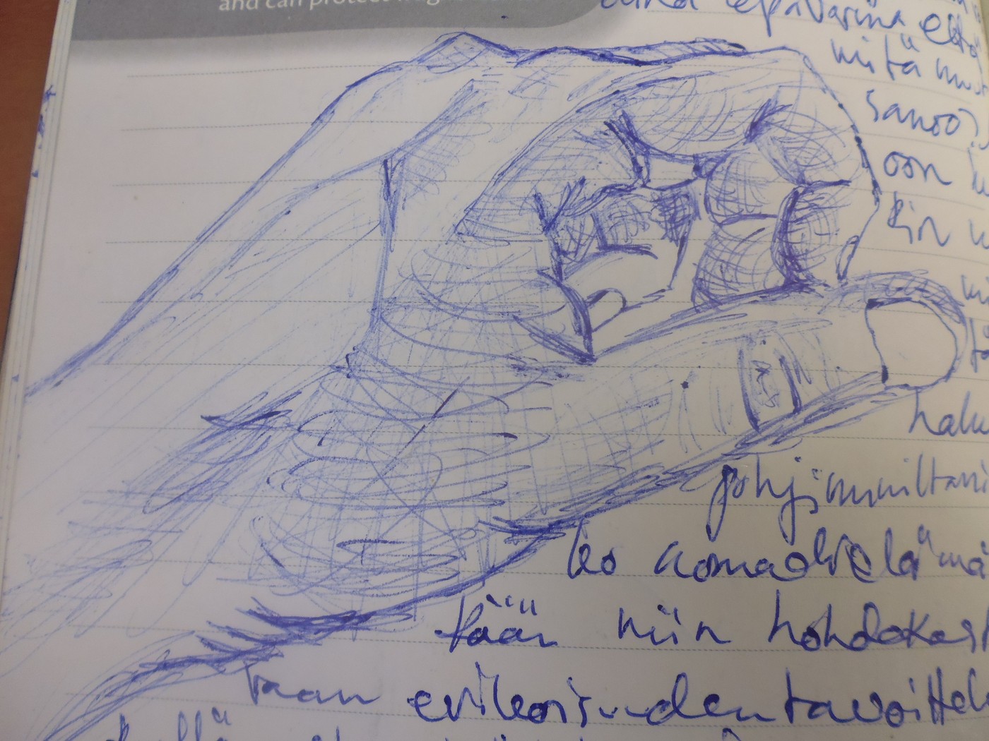 P1020124.jpg