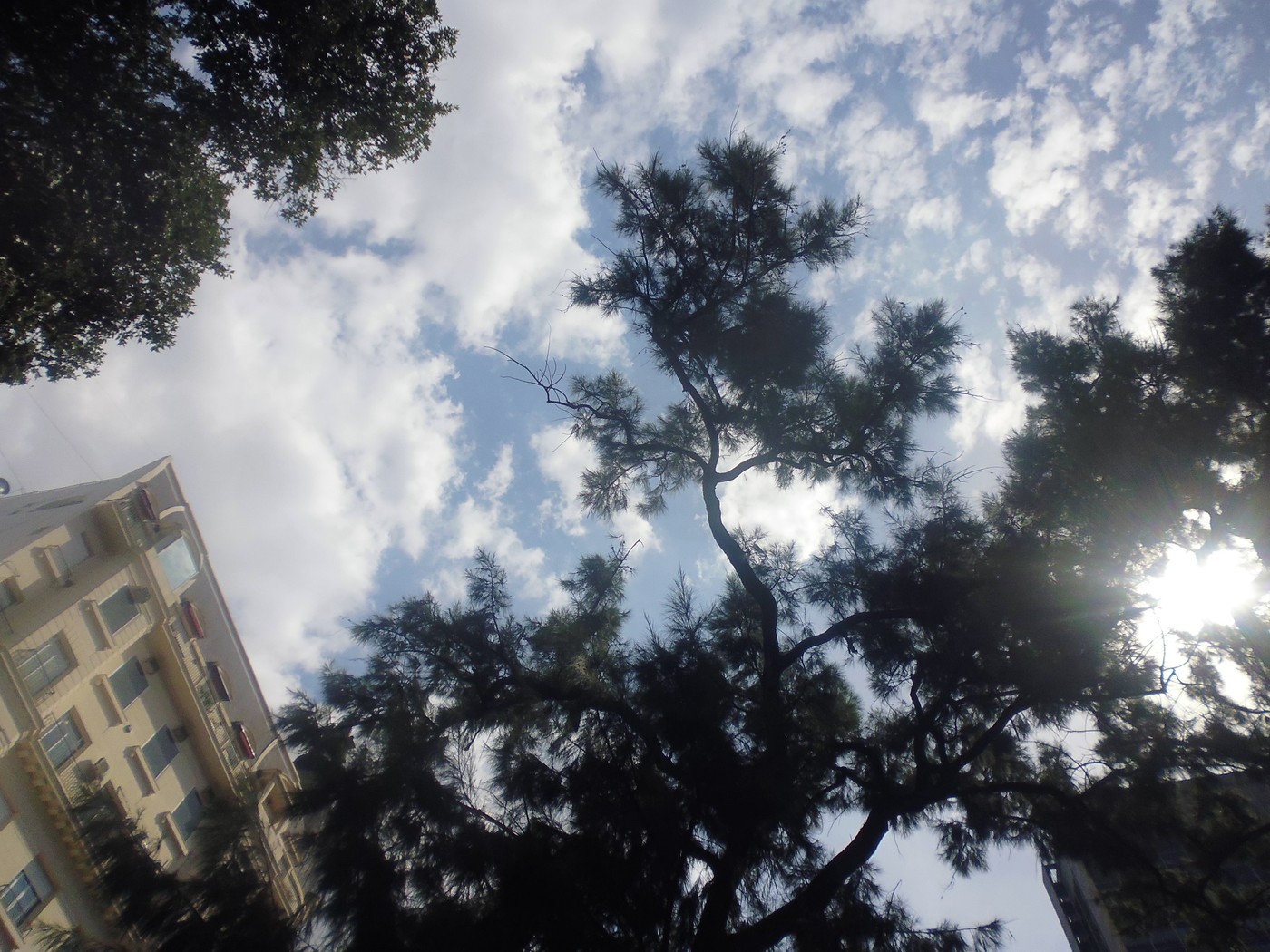 P1020134.jpg