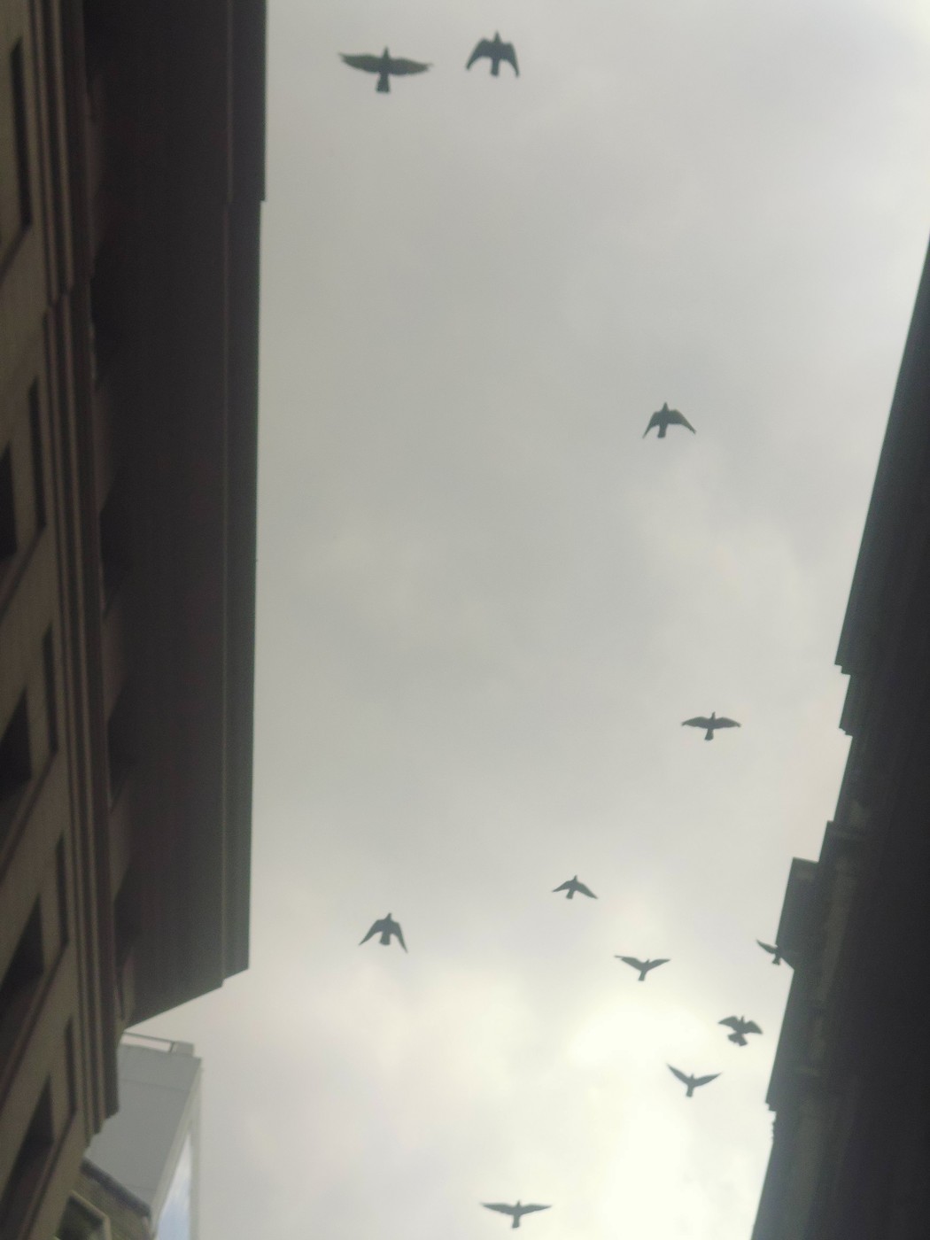 P1020138.jpg