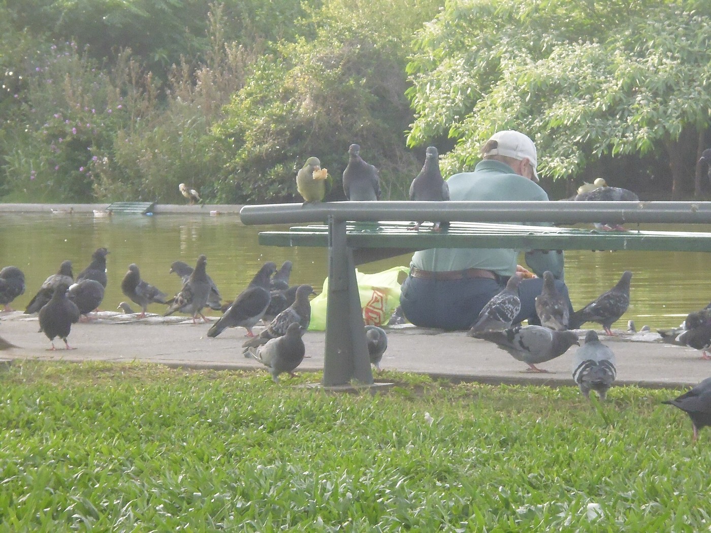 P1020146.jpg