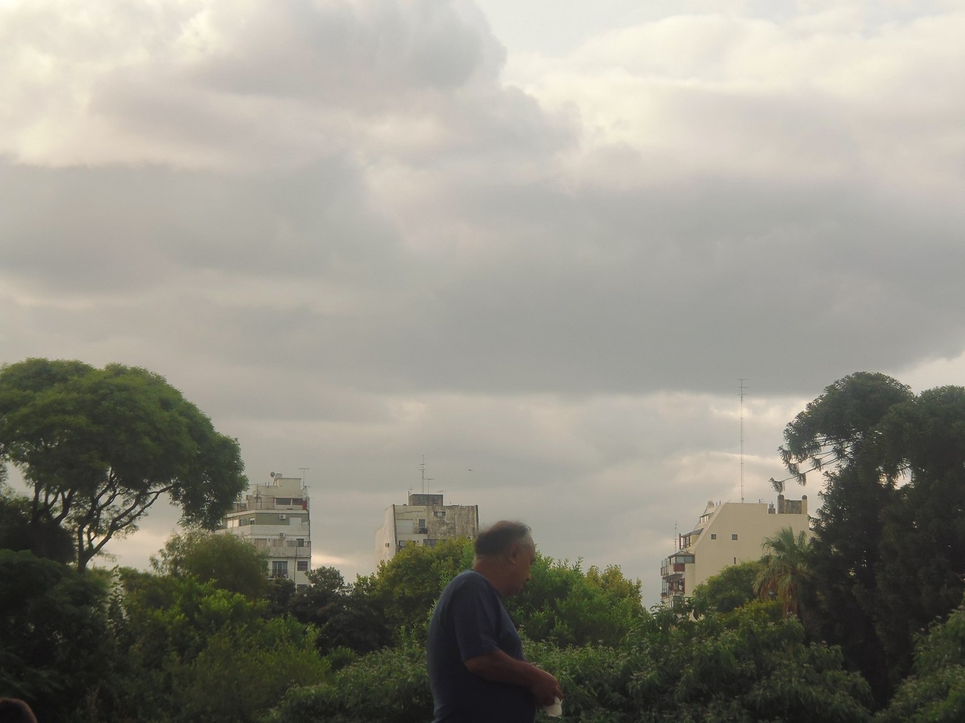 P1020158.jpg
