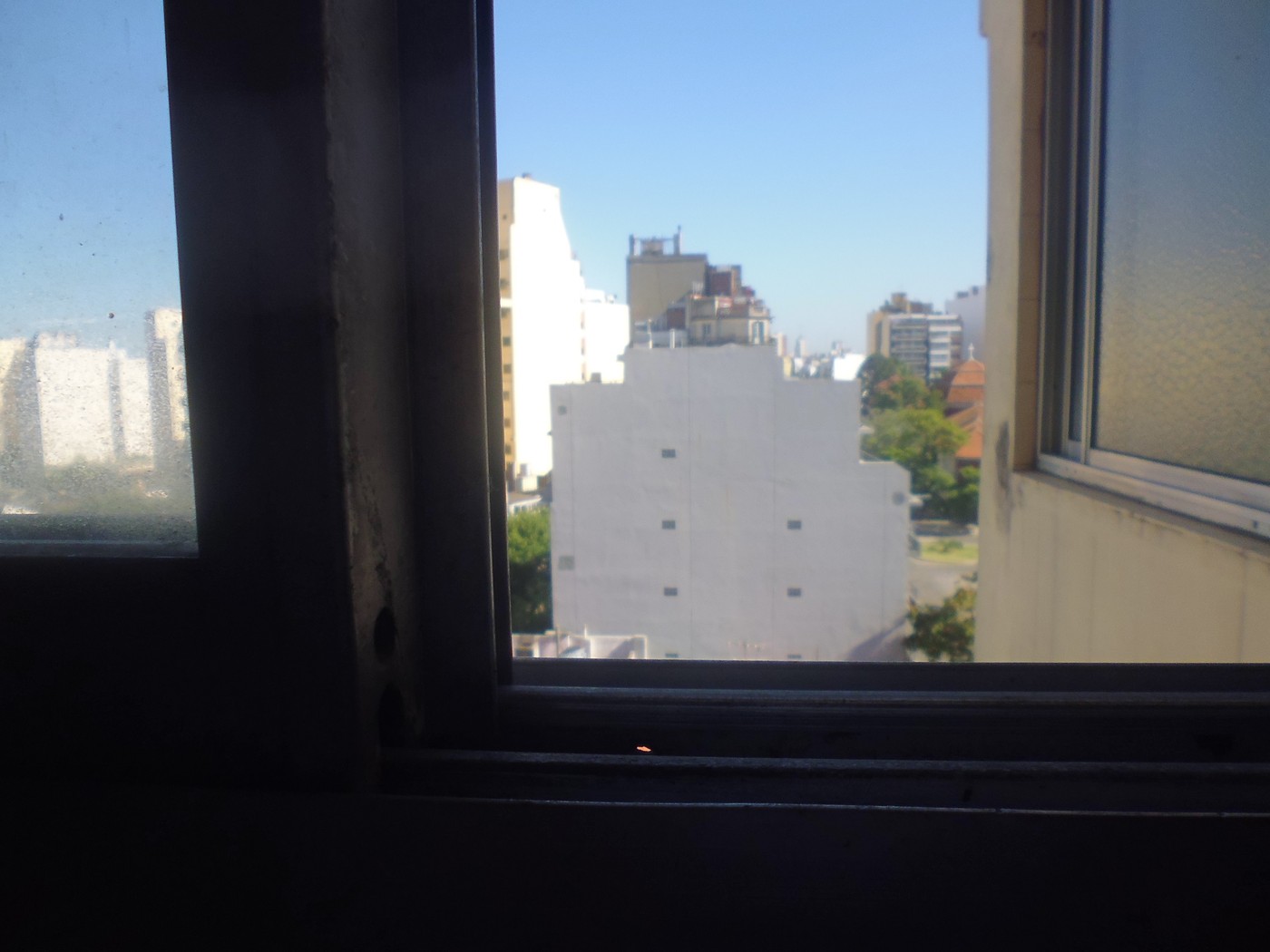 P1020231.jpg