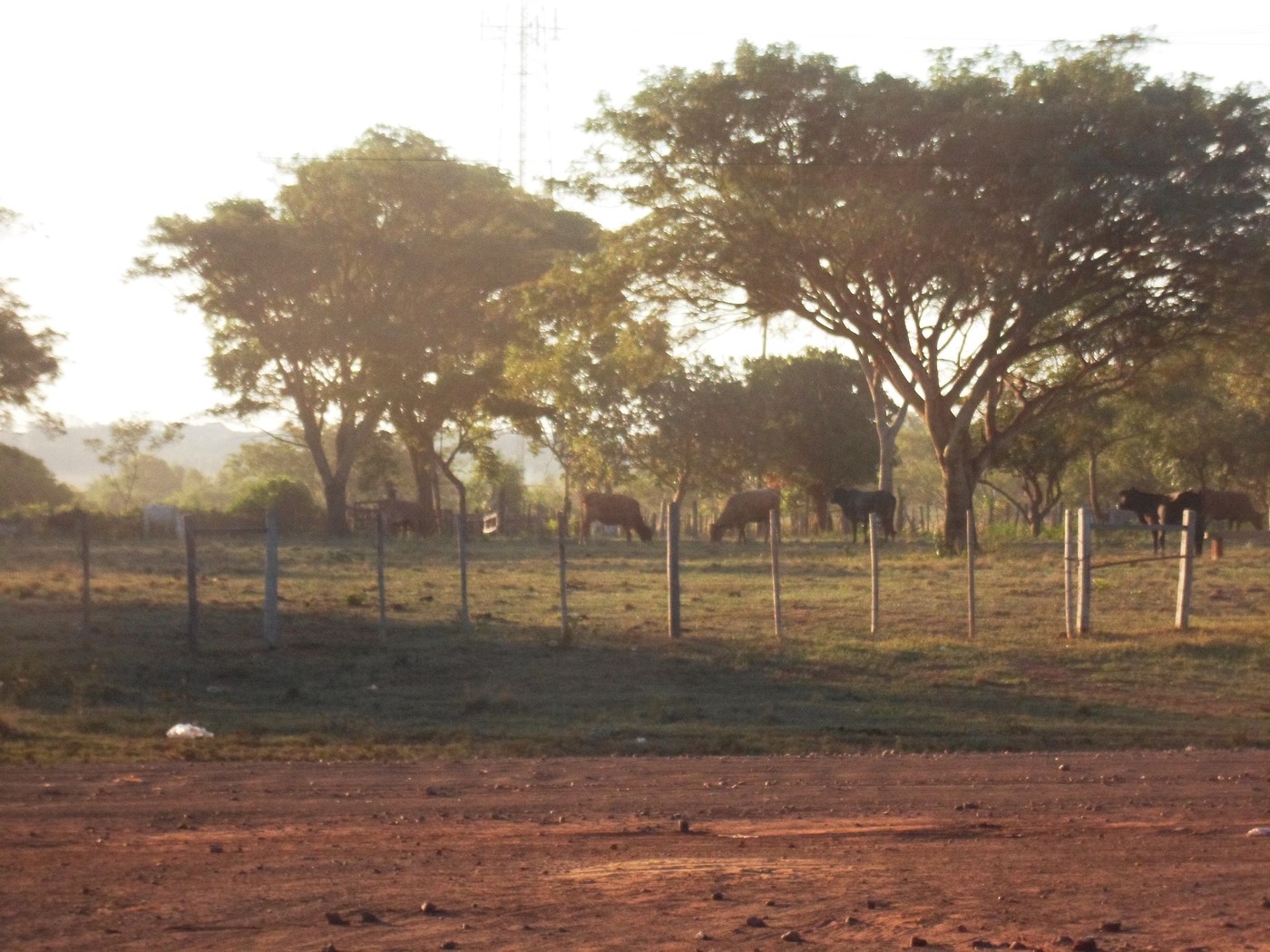 SAM_0068.jpg