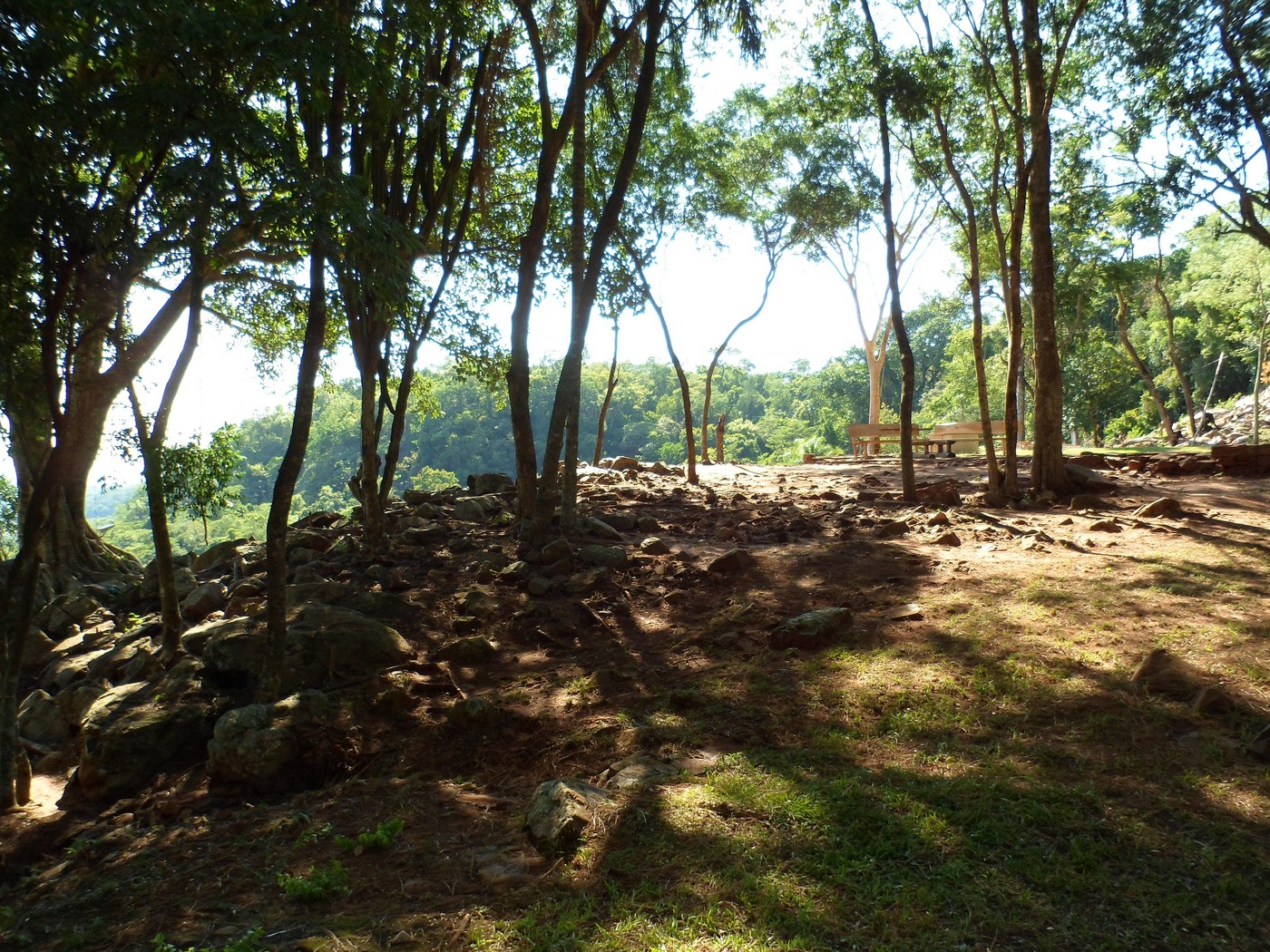 SAM_0127.jpg