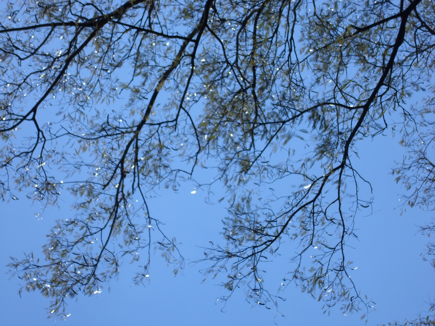 SAM_0190.jpg