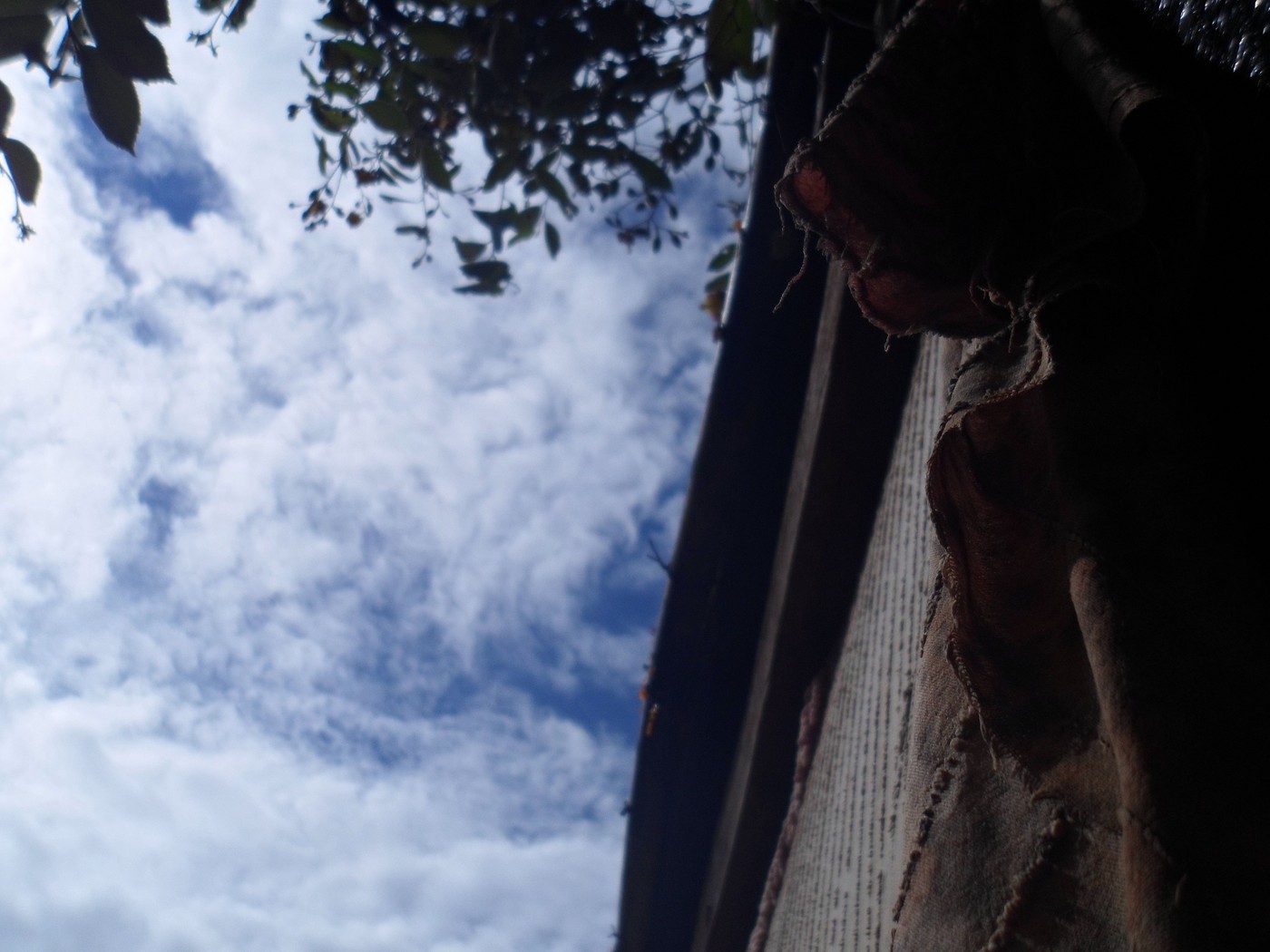 SAM_0749.jpg
