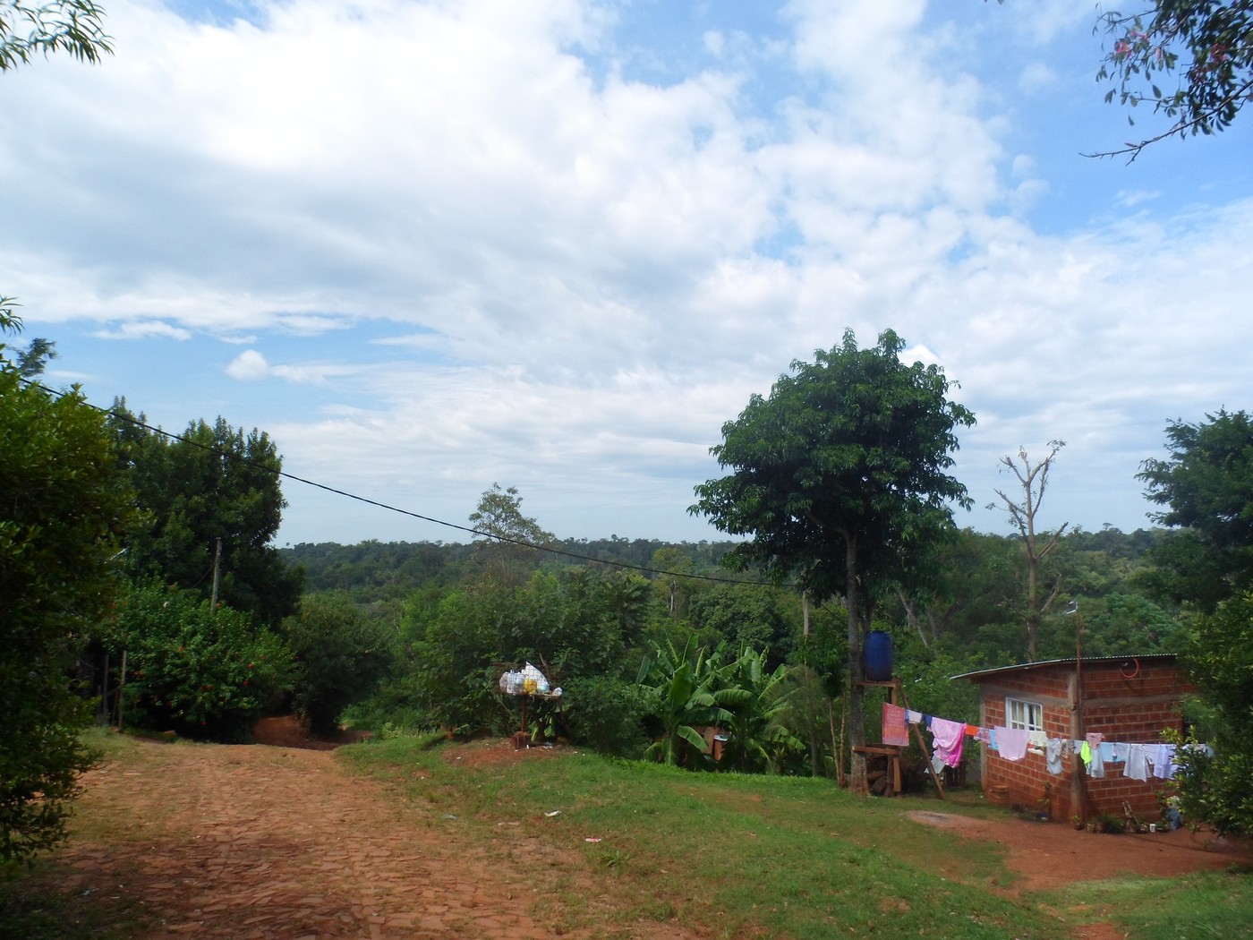 SAM_0928.jpg
