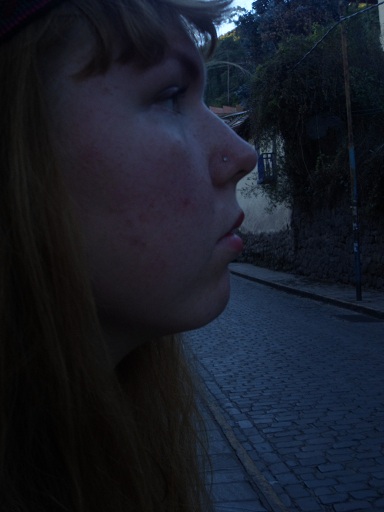 SAM_3730.jpg