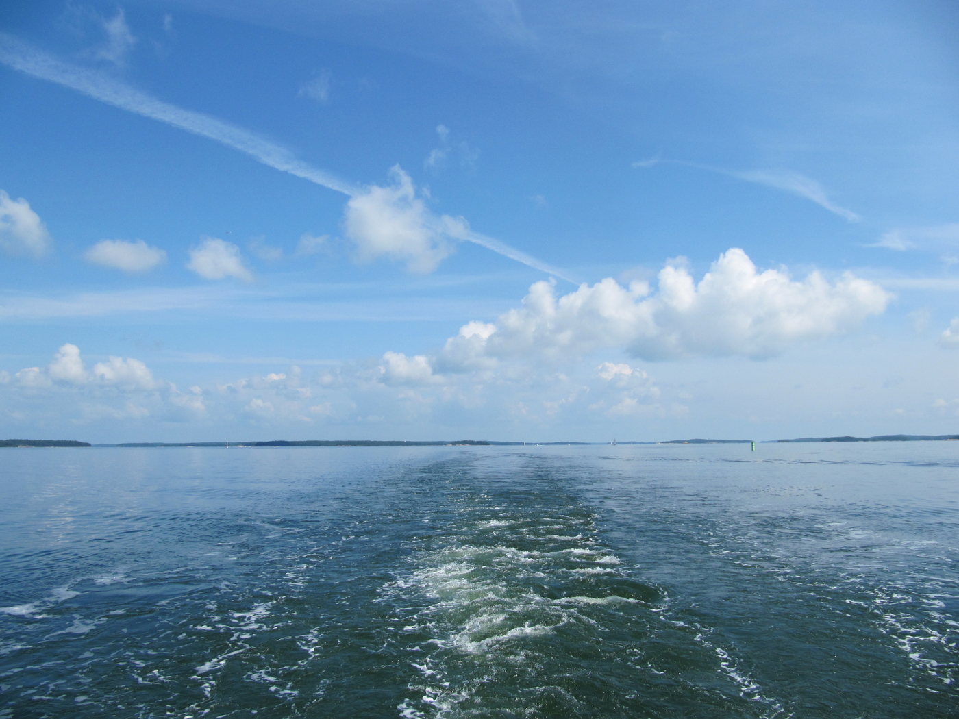 IMG_4517.JPG