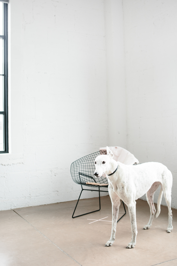 LILY STAN STUDIO LOOK 24.jpg
