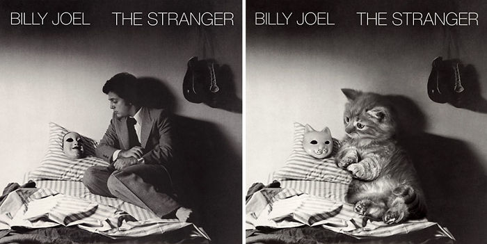 This-guy-created-very-cute-covers-of-the-music-world-replacing-singers-with-cats-5a2e4c0265d9d__700.jpg