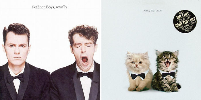 This-guy-created-very-cute-covers-of-the-music-world-replacing-singers-with-cats-5a2e625b29453__700.jpg
