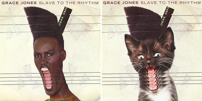 This-guy-created-very-cute-covers-of-the-music-world-replacing-singers-with-cats-5a2e627c0c99a__700.jpg