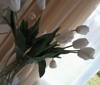 WP_20141019_006.jpg