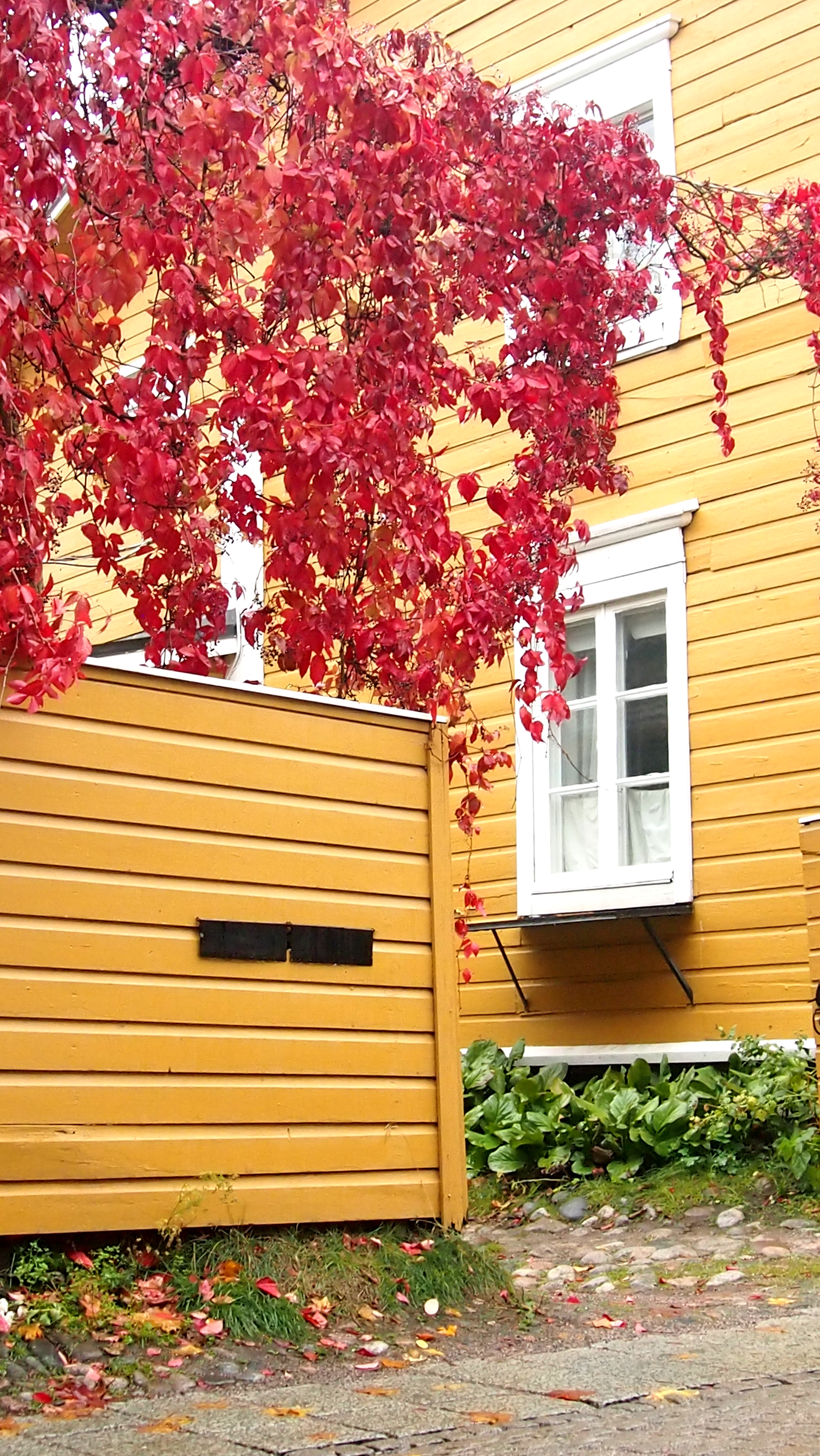 porvoo3.jpg