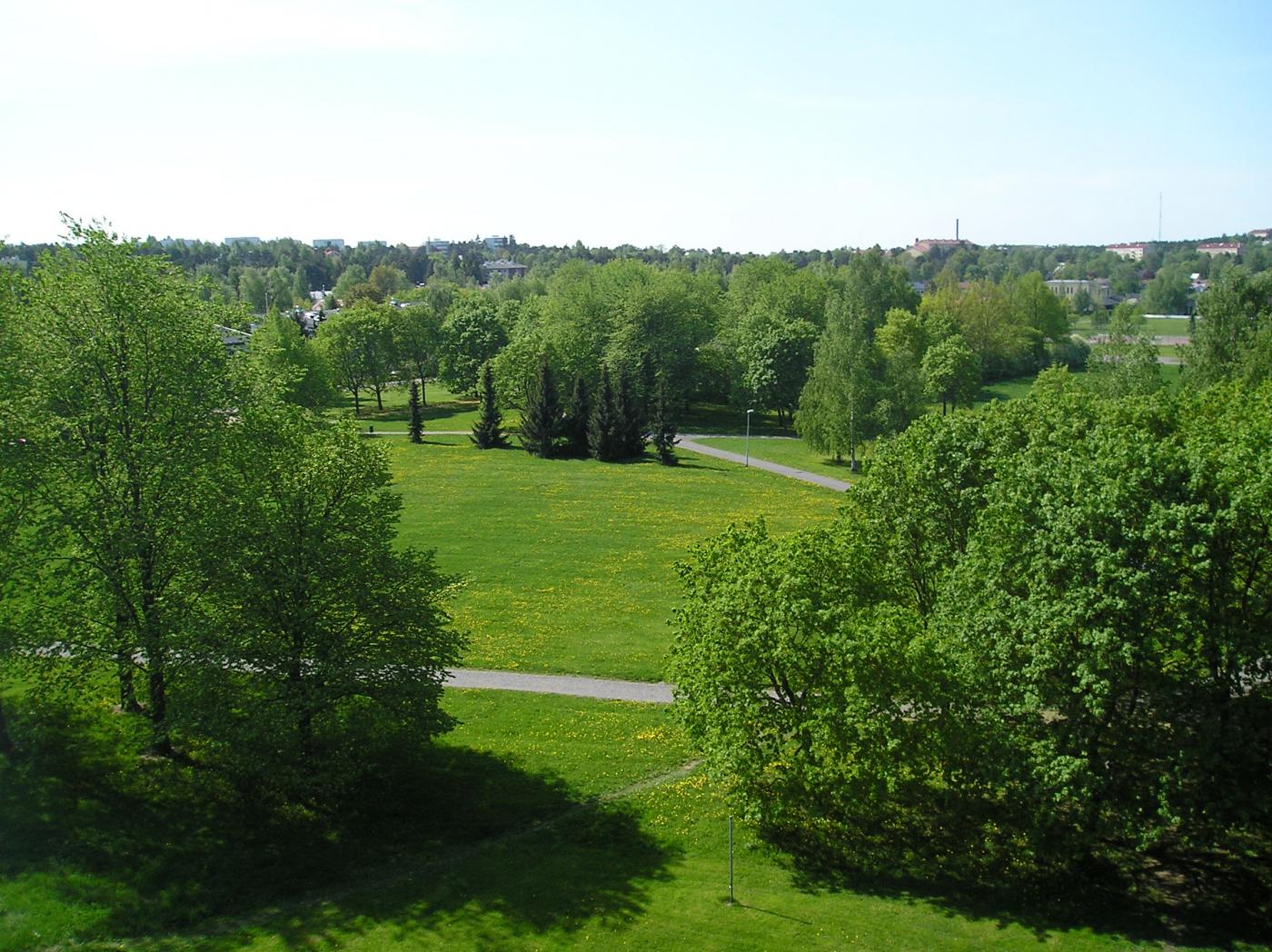 p1010031.jpg
