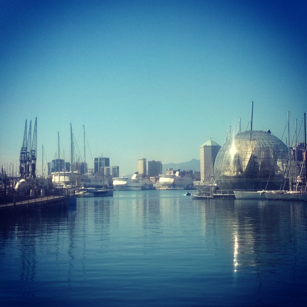 instagramcapture_3260b7b3-7f50-4118-81af-6a052d7e842a_jpg.jpg