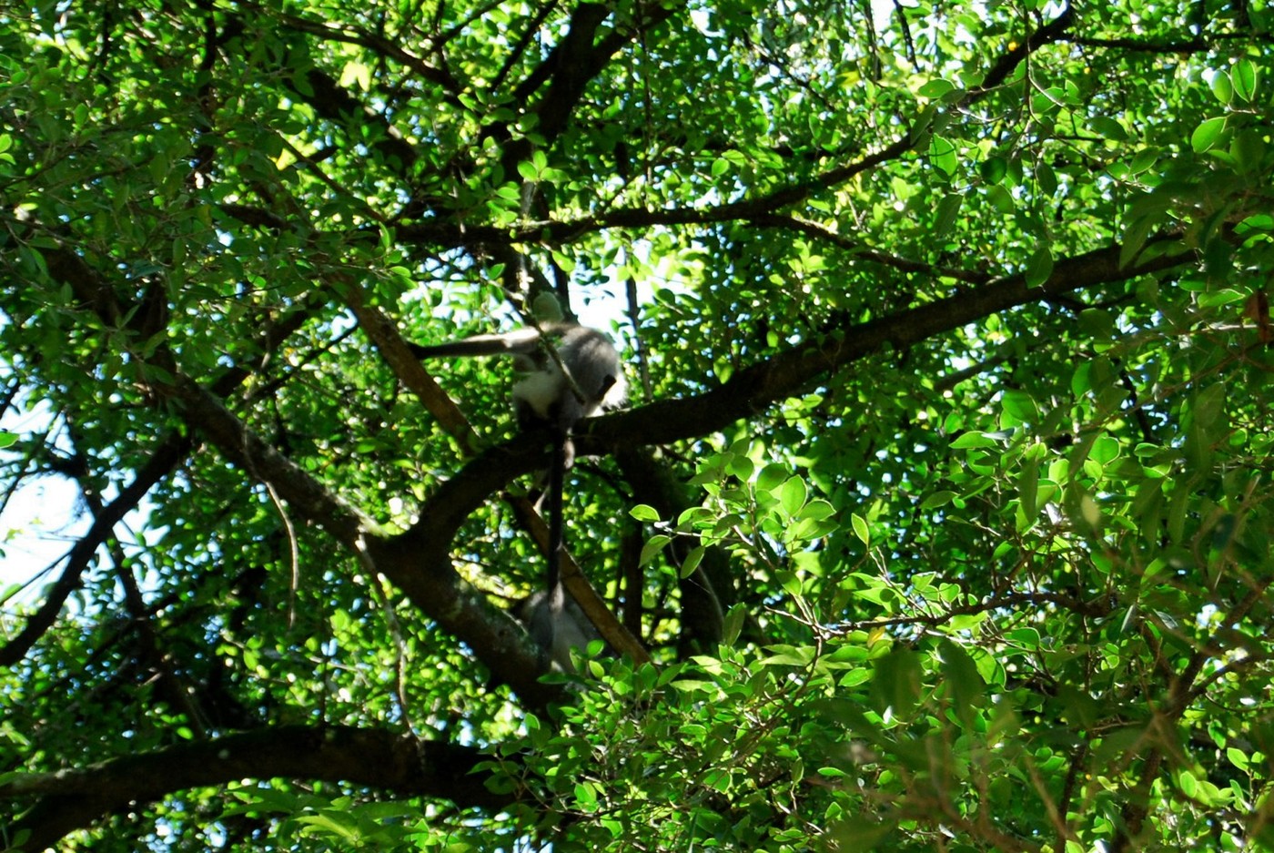 DSC_0231.JPG
